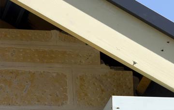 soffit repair Brereton Cross